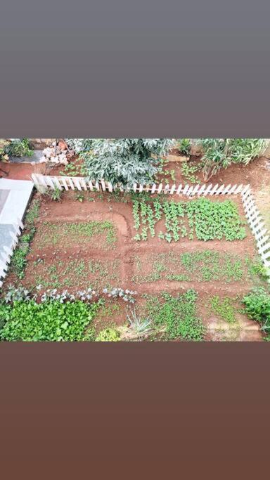Saifarms Private Farmhouse Between Pune & Lonavala Nethersole Dam 外观 照片