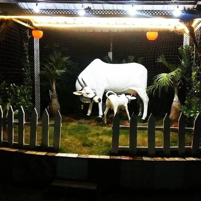 Saifarms Private Farmhouse Between Pune & Lonavala Nethersole Dam 外观 照片