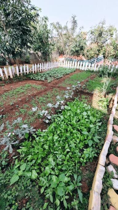 Saifarms Private Farmhouse Between Pune & Lonavala Nethersole Dam 外观 照片