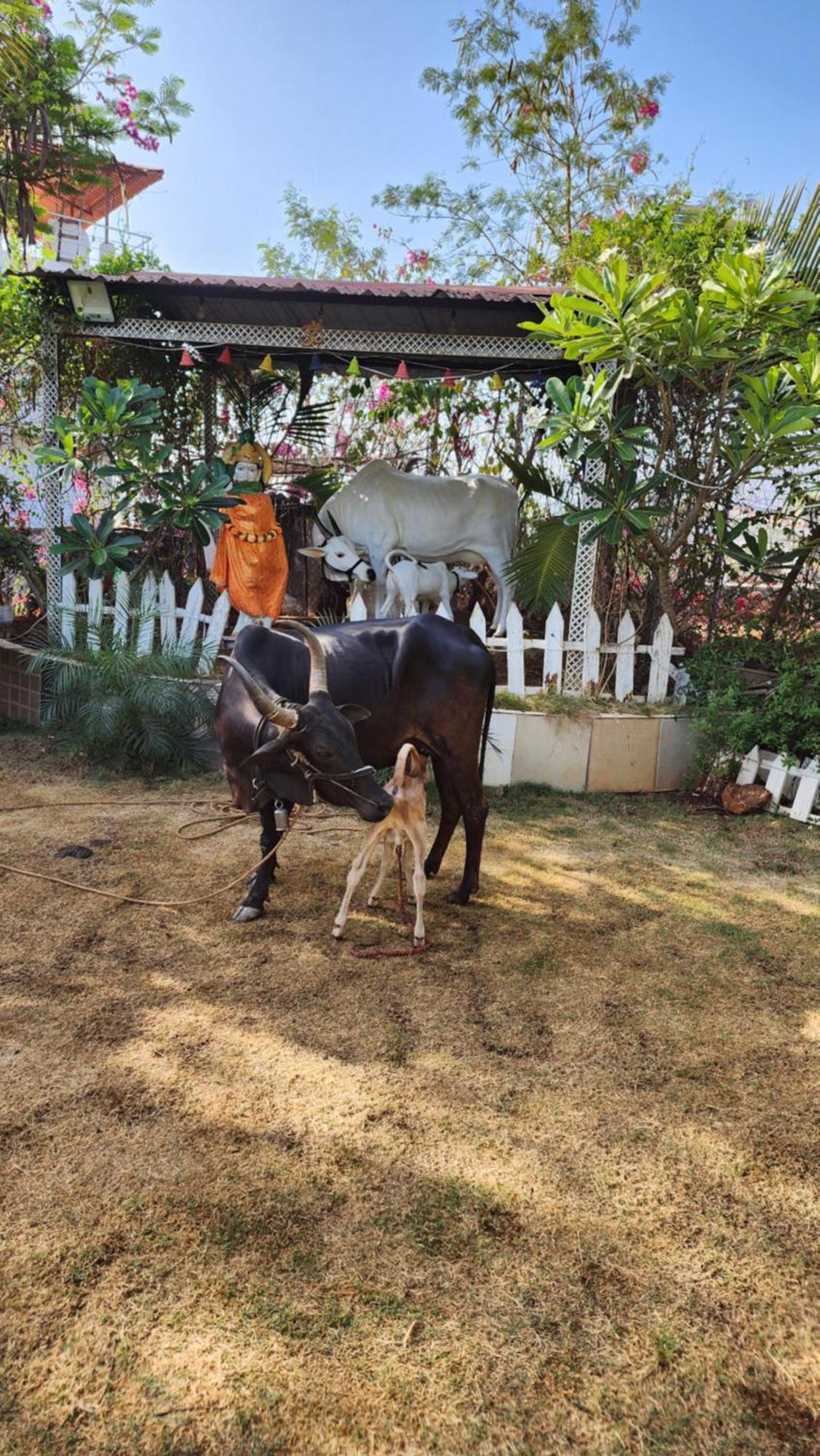 Saifarms Private Farmhouse Between Pune & Lonavala Nethersole Dam 外观 照片